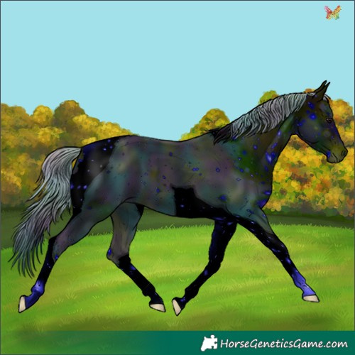 Horse Color:ERROR: UNKNOWN ANOMALY