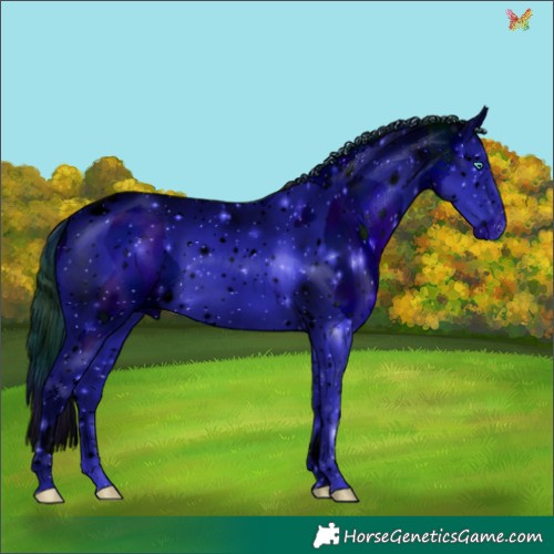 Horse Color:ERROR: UNKNOWN ANOMALY