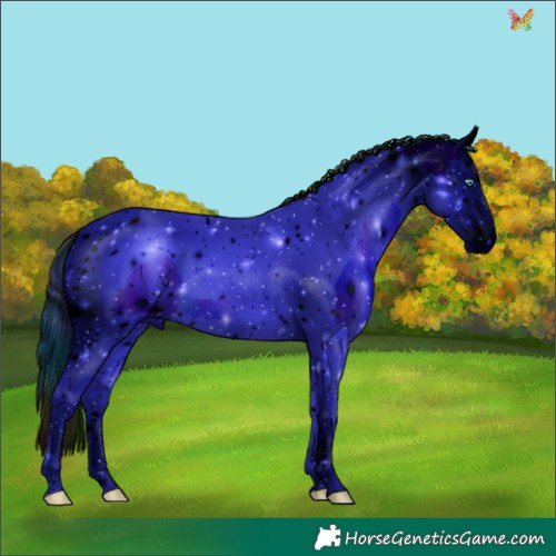 Horse Color:ERROR: UNKNOWN ANOMALY
