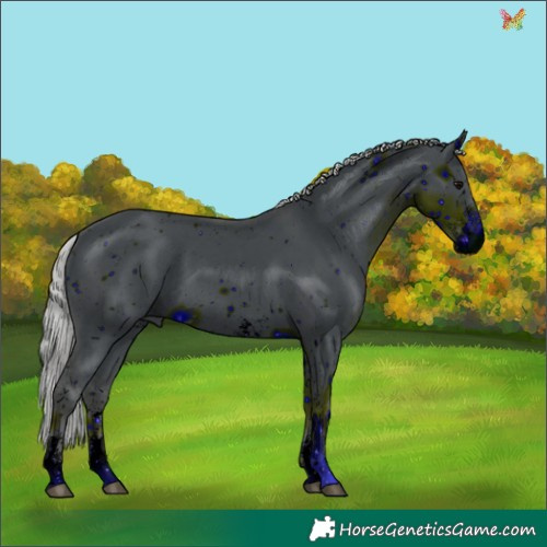 Horse Color:ERROR: UNKNOWN ANOMALY