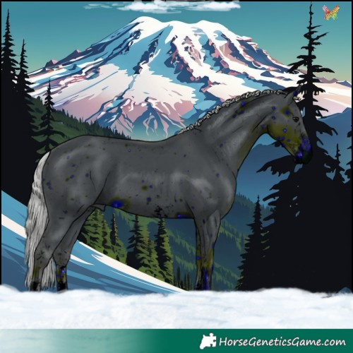 Horse Color:ERROR: UNKNOWN ANOMALY