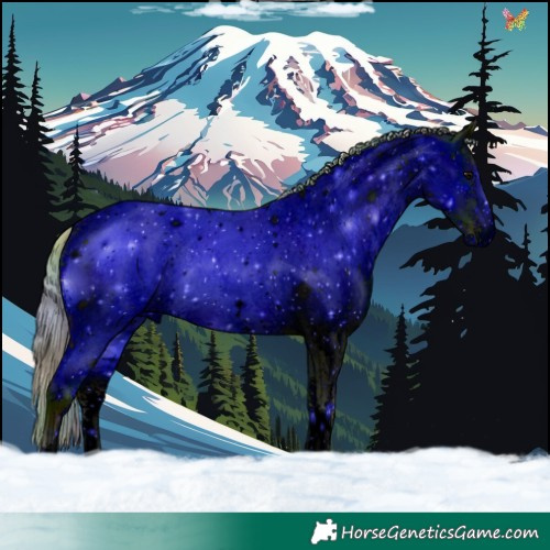Horse Color:ERROR: UNKNOWN ANOMALY