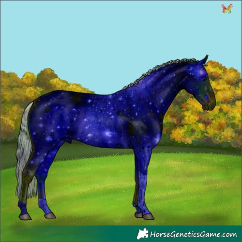 Horse Color:ERROR: UNKNOWN ANOMALY