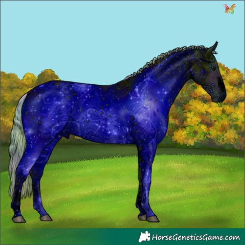 Horse Color:ERROR: UNKNOWN ANOMALY