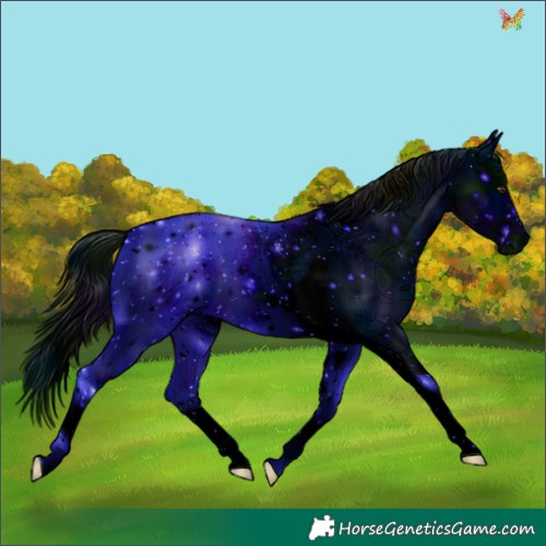 Horse Color:ERROR: UNKNOWN ANOMALY