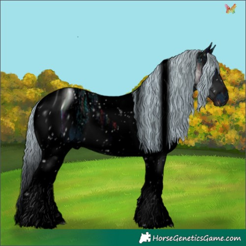 Horse Color:ERROR: UNKNOWN ANOMALY