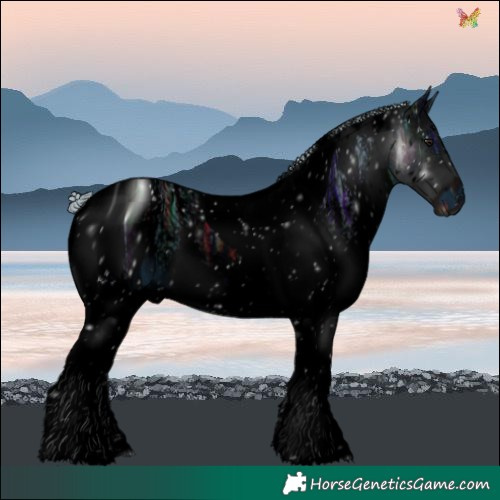 Horse Color:ERROR: UNKNOWN ANOMALY
