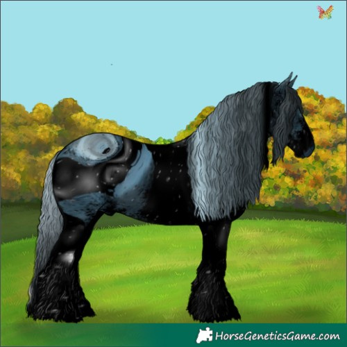 Horse Color:ERROR: UNKNOWN ANOMALY