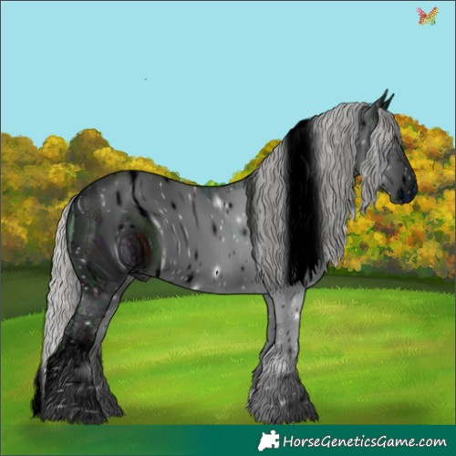 Horse Color:ERROR: UNKNOWN ANOMALY