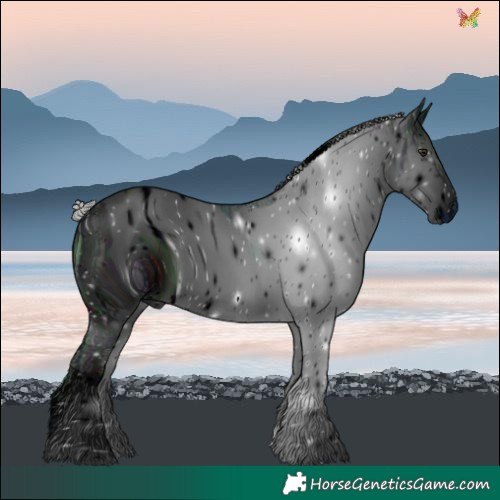 Horse Color:ERROR: UNKNOWN ANOMALY