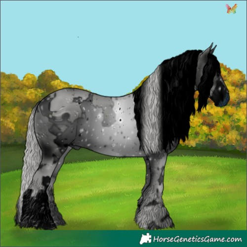 Horse Color:ERROR: UNKNOWN ANOMALY