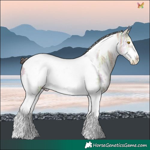 Horse Color:White Spotted Amber Champagne Ice Tobiano Frame 