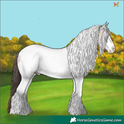 Horse Color:White Spotted Amber Champagne Ice Tobiano Frame 