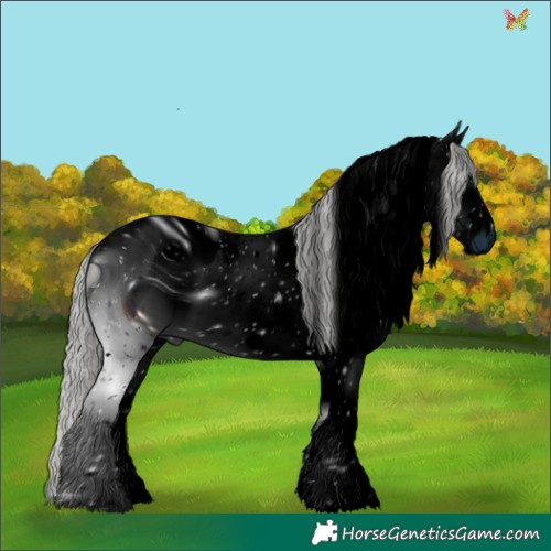 Horse Color:ERROR: UNKNOWN ANOMALY