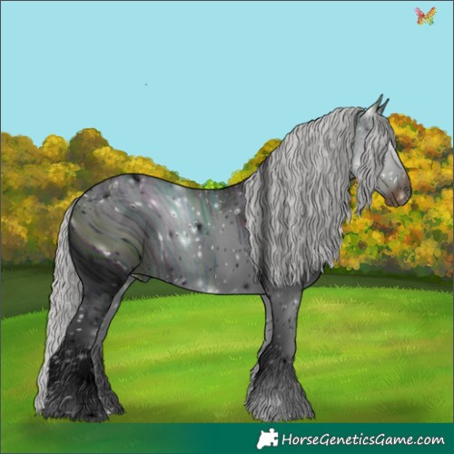 Horse Color:ERROR: UNKNOWN ANOMALY