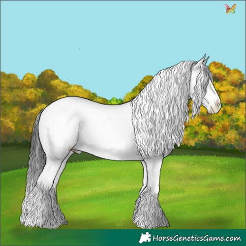 Horse Color:White Spotted Classic Champagne Chinchilla Ice Tobiano Frame 