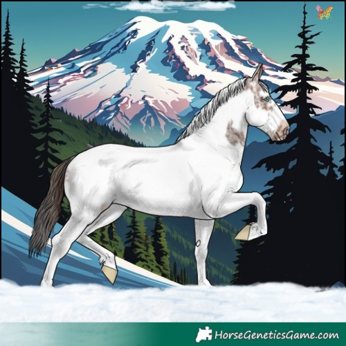 Horse Color:White Spotted Brown Tobiano Frame 