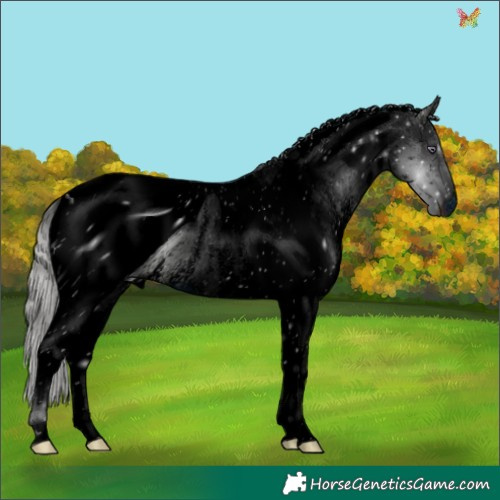 Horse Color:ERROR: UNKNOWN ANOMALY