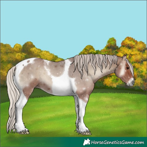 Horse Color:Silver Blue Onyx Tobiano 