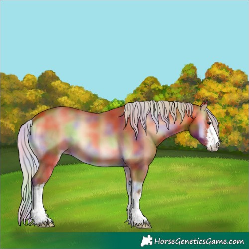 Horse Color:Nacre White Spotted Silver Bay Onyx 