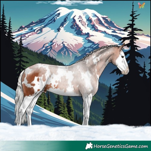 Horse Color:White Spotted Silver Bay Splash Rabicano 