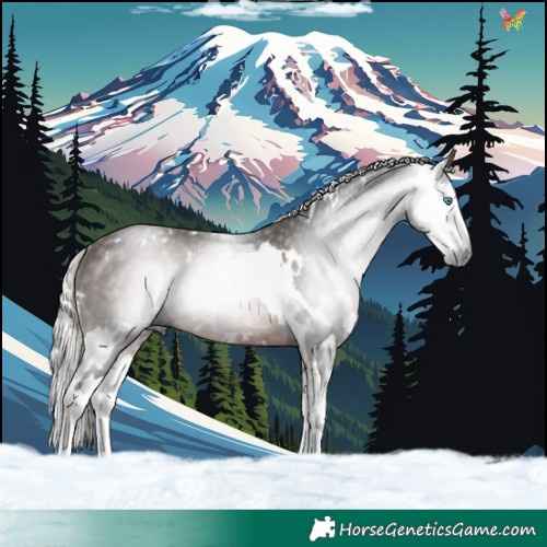 Horse Color:Gray White Spotted Silver Bay Splash Rabicano 