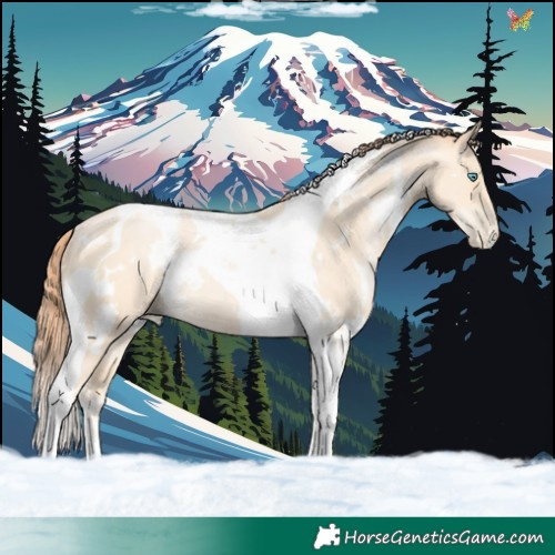 Horse Color:White Spotted Classic Cream Champagne Pearl Tobiano 