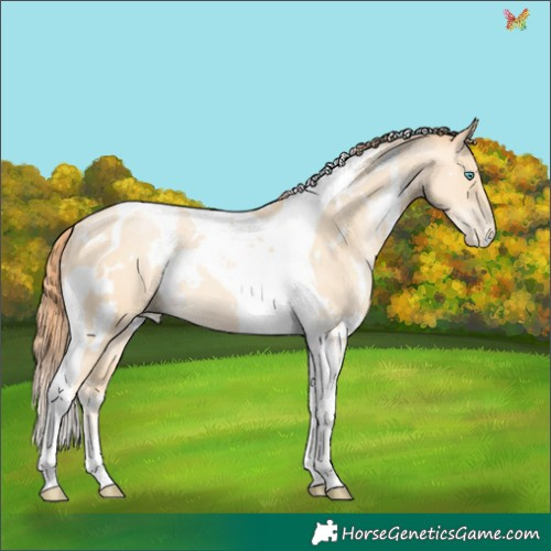 Horse Color:White Spotted Classic Cream Champagne Pearl Tobiano 