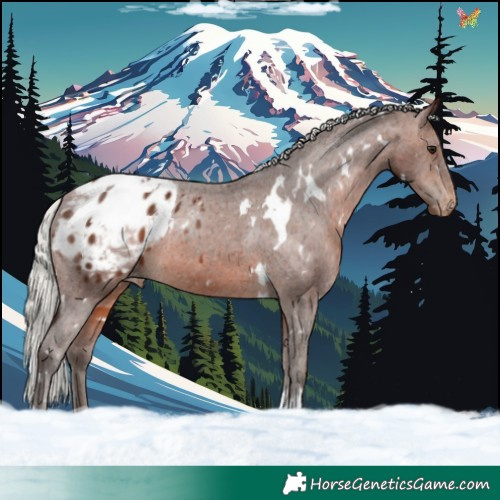 Horse Color:White Spotted Silver Brown Varnish 
