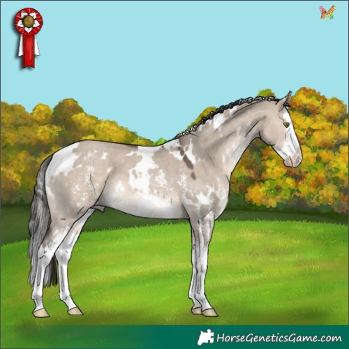 Horse Color:White Spotted Brown Dun Mushroom Sabino Splash 