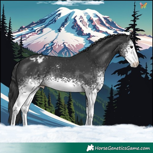 Horse Color:White Spotted Black Sabino Varnish 