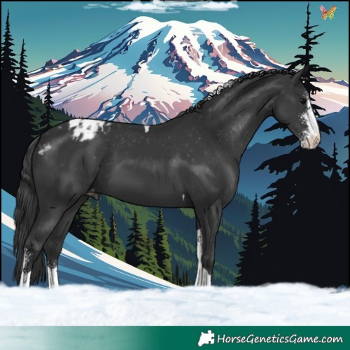 Horse Color:Black Sabino Tobiano Varnish 