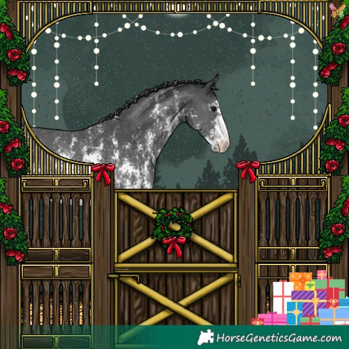 Horse Color:Black Sabino 