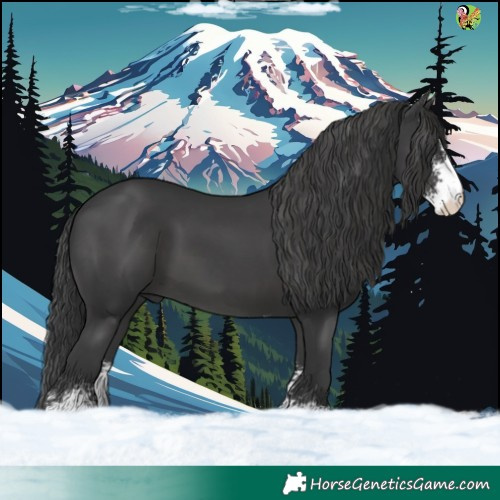Horse Color:Black Sabino 