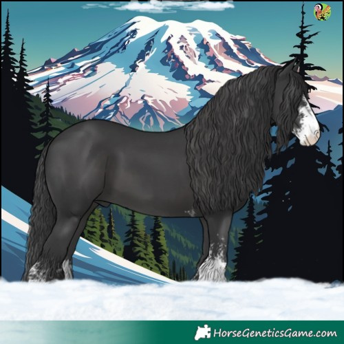 Horse Color:Black Sabino 