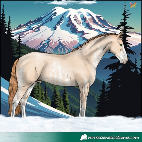 Horse Color:Classic Champagne Pearl Sabino 
