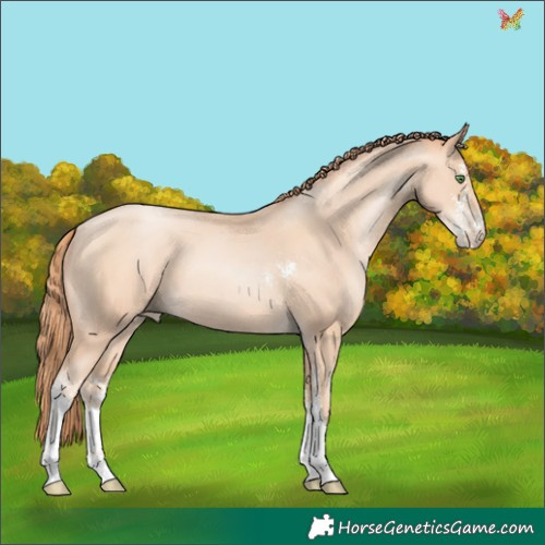 Horse Color:Classic Champagne Pearl Sabino 