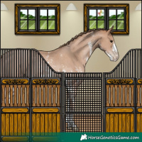 Horse Color:Black Pearl Sabino