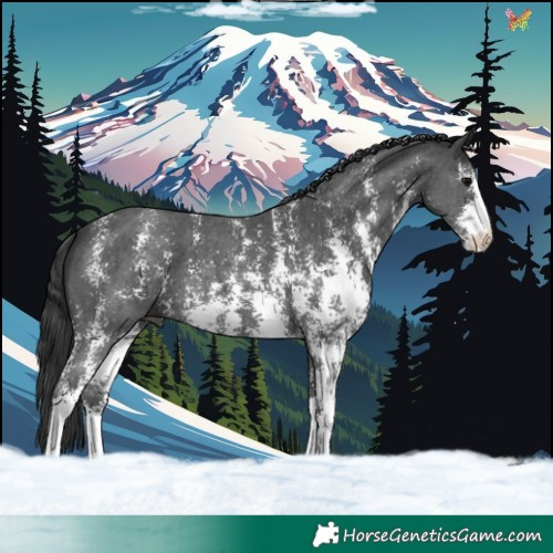 Horse Color:Black Sabino 