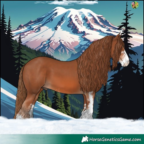 Horse Color:Chestnut Sabino 