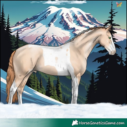 Horse Color:Classic Champagne Pearl Sabino Tobiano 