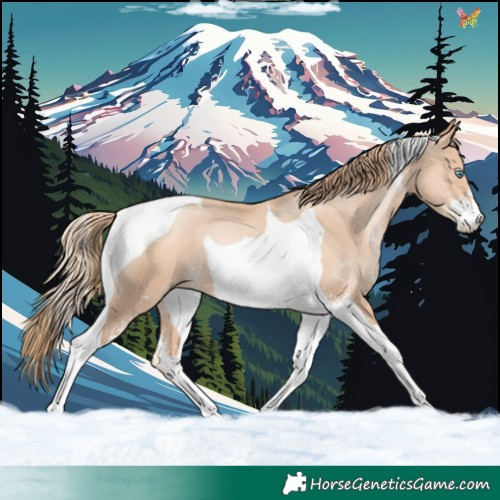 Horse Color:Gold Champagne Pearl Sabino Tobiano 