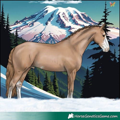 Horse Color:Black Pearl Sabino 