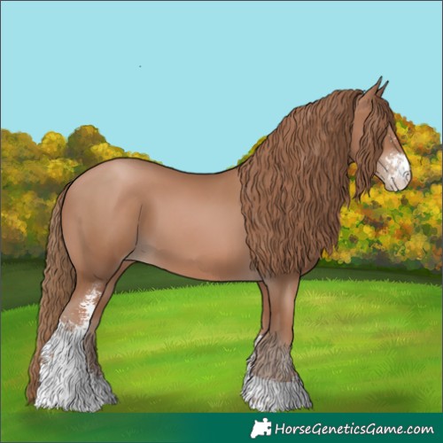 Horse Color:Black Pearl Sabino