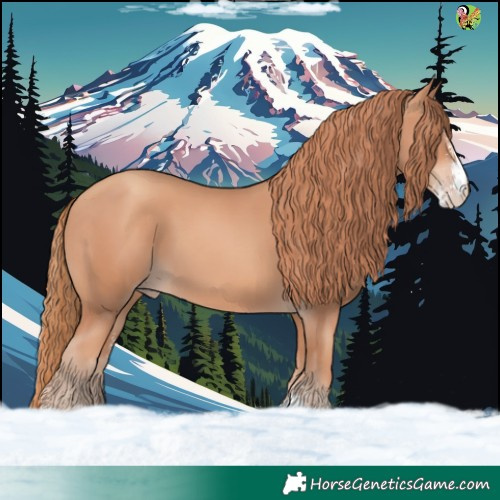 Horse Color:Gold Champagne Sabino 
