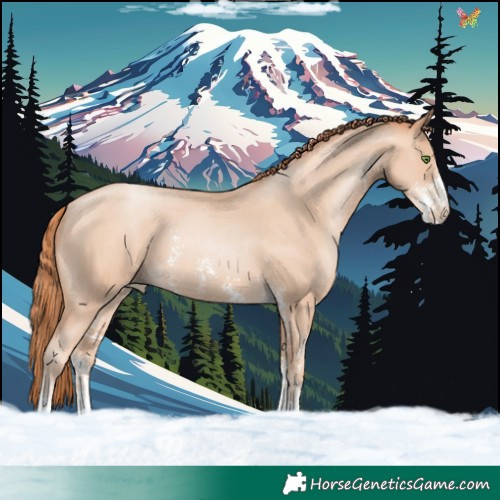 Horse Color:Classic Champagne Pearl Sabino 