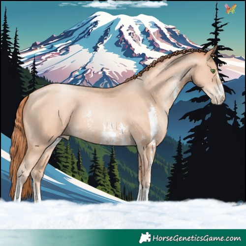 Horse Color:Classic Champagne Pearl Sabino 