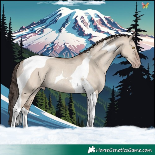 Horse Color:Classic Champagne Dun Tobiano Rabicano 