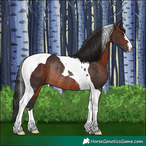 Horse Color:Brown Tobiano Rabicano 