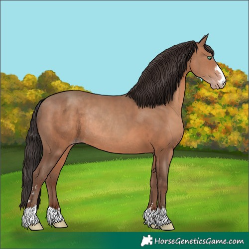 Horse Color:Sable Champagne Rabicano 